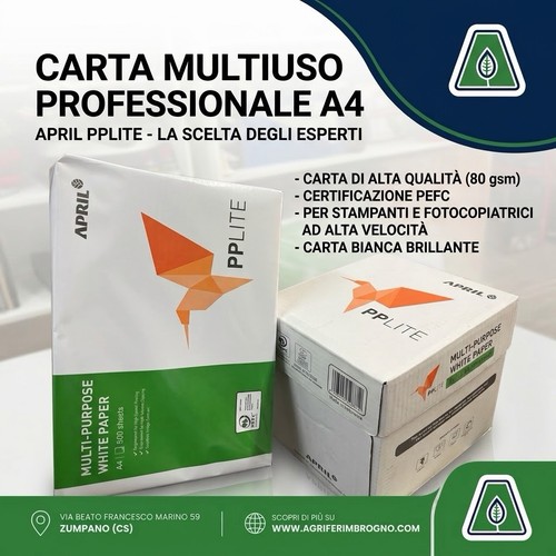 Carta per stampanti - carta,
